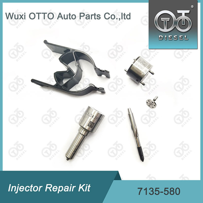 7135-580 Kit de reparación del inyector Delphi para el inyector R00001D
