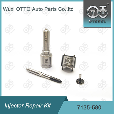 7135-580 Kit de reparación del inyector Delphi para el inyector R00001D