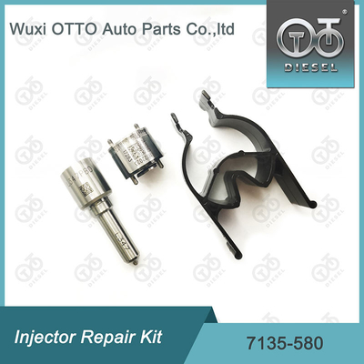 7135-580 Kit de reparación del inyector Delphi para el inyector R00001D